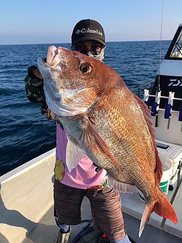 アマダイの釣果