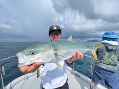 ハマチの釣果