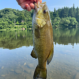 スモールマウスバス