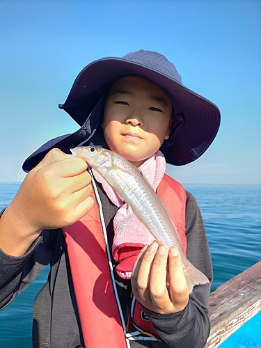 キスの釣果