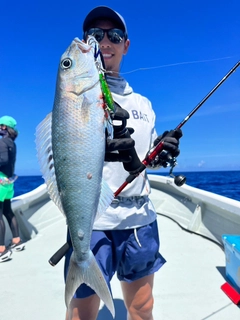 アオチビキの釣果