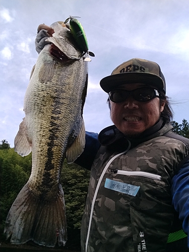 ブラックバスの釣果