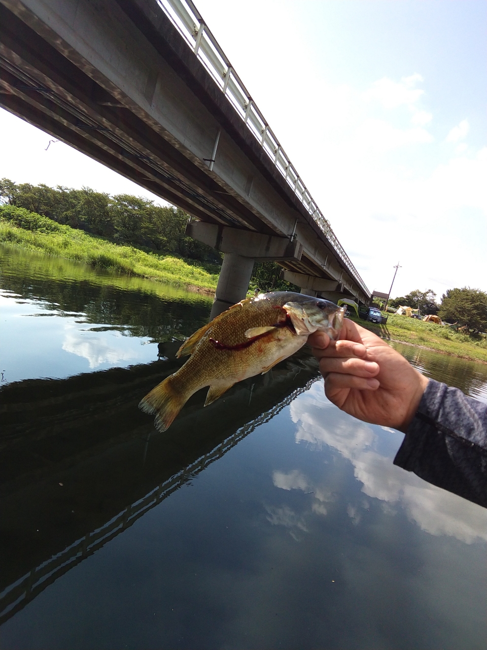 スモールマウスバス