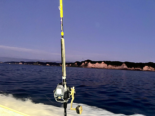 オニカサゴの釣果