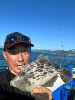 カワハギの釣果