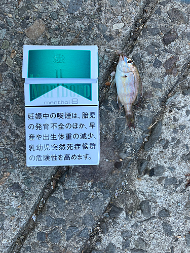 釣果