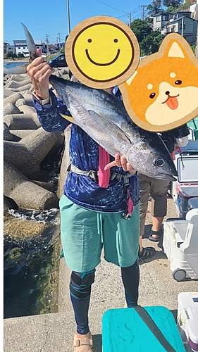 キメジの釣果