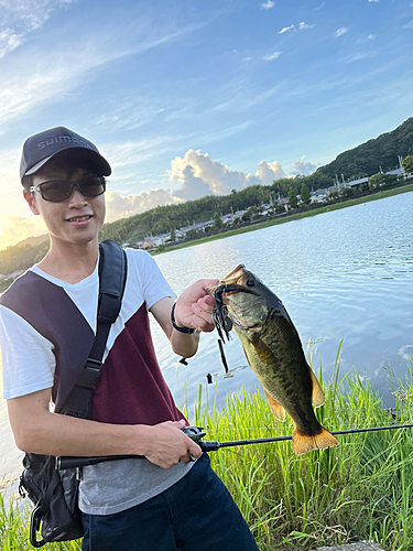 ブラックバスの釣果