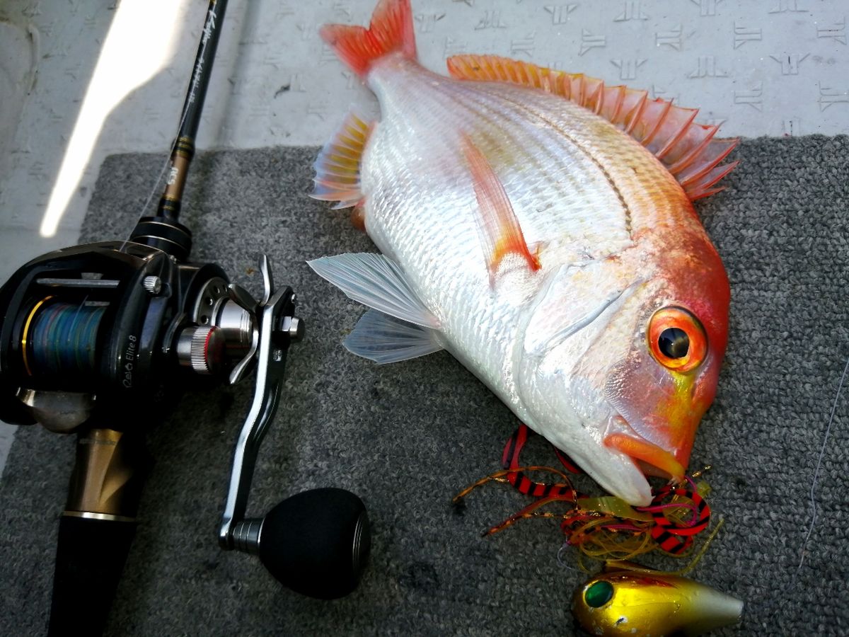 夢追釣人さんの釣果 2枚目の画像