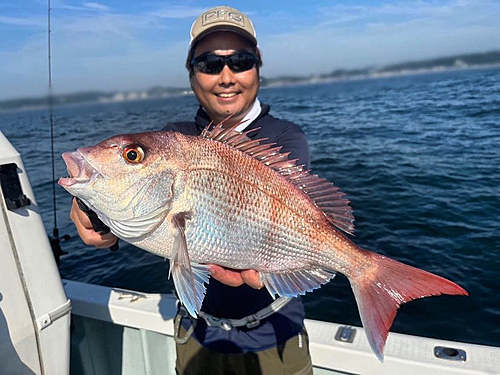 マダイの釣果