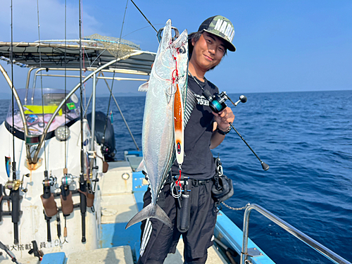 ハガツオの釣果