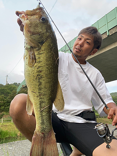 ブラックバスの釣果