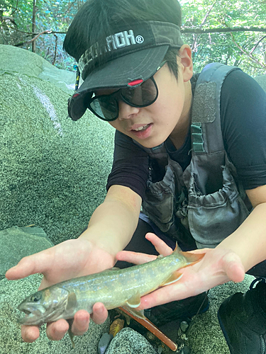 イワナの釣果