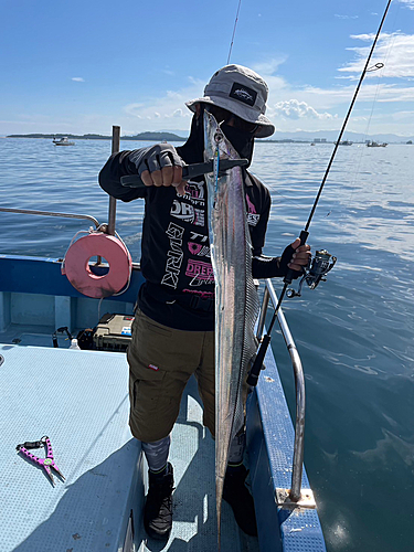 タチウオの釣果