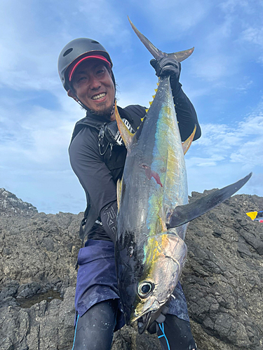 キハダマグロの釣果