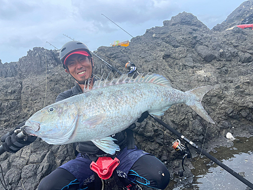 アオチビキの釣果