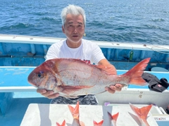 マダイの釣果