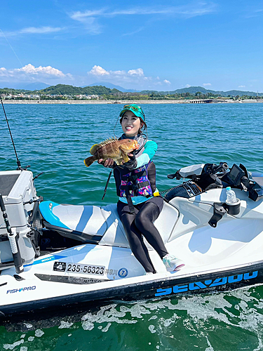 アオハタの釣果