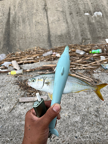 釣果