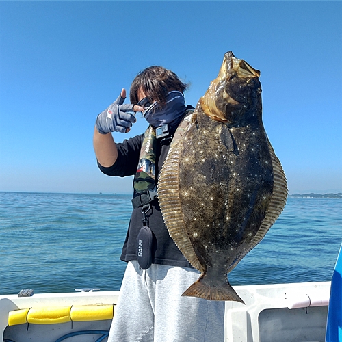 ヒラメの釣果