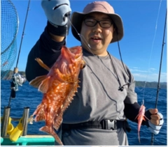 カサゴの釣果