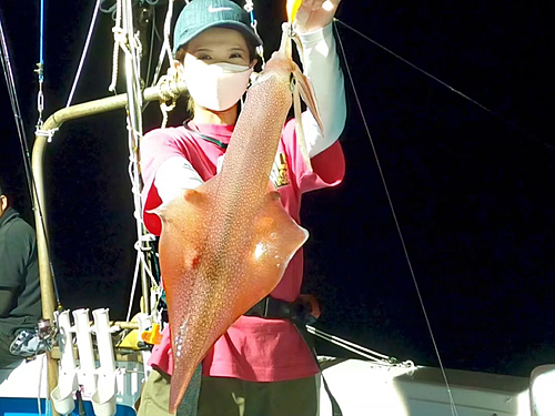 ケンサキイカの釣果