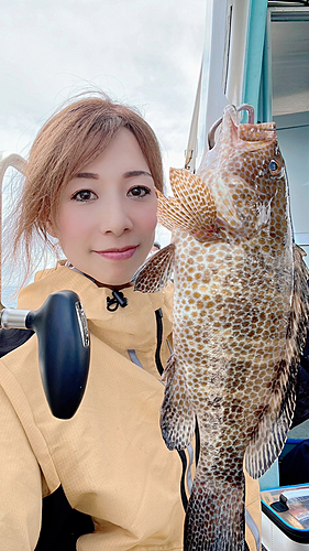 オオモンハタの釣果