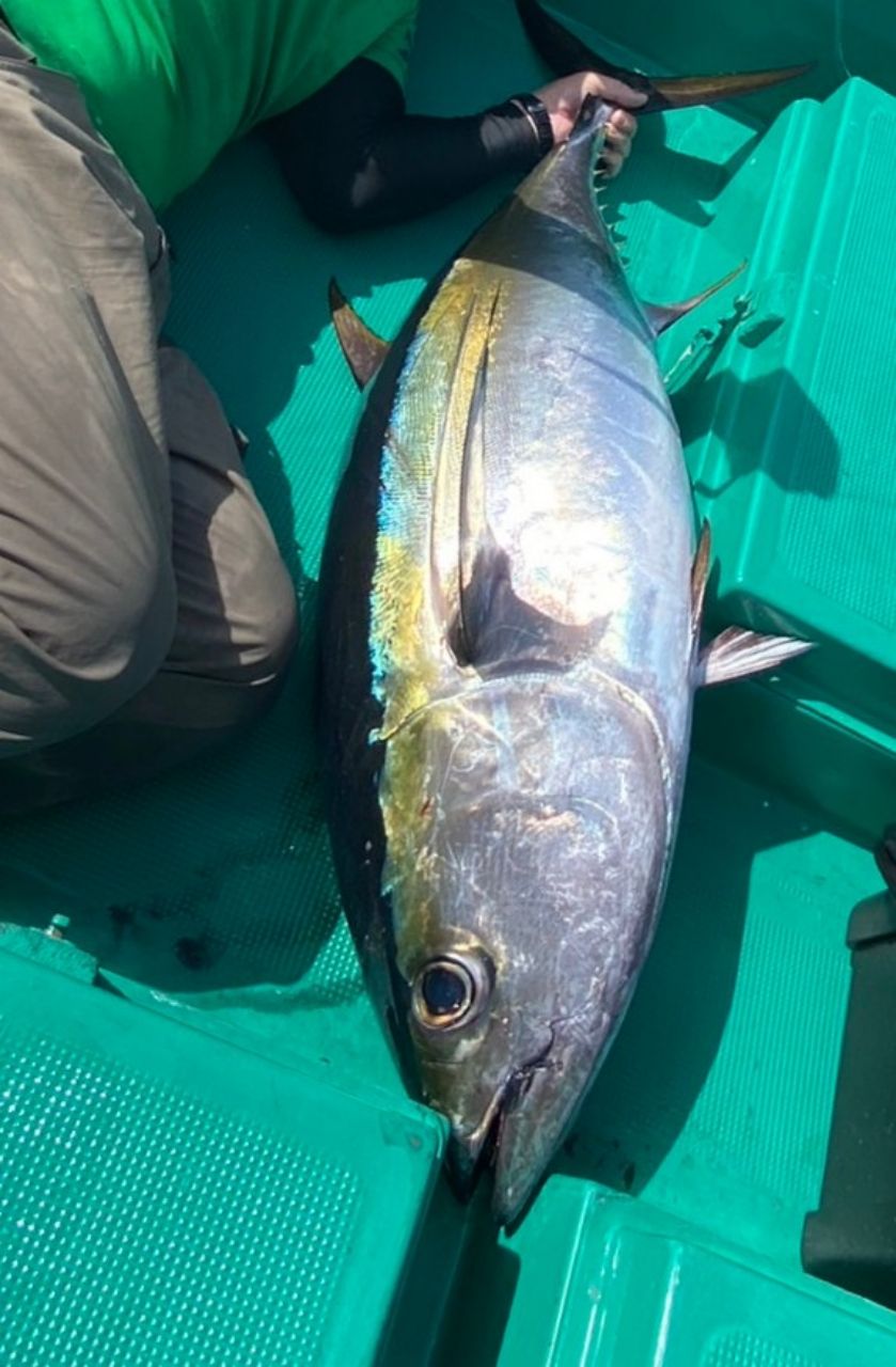 あじゃさんの釣果 1枚目の画像