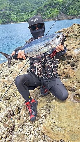 イトヒキアジの釣果