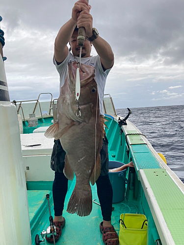 オオスジハタの釣果