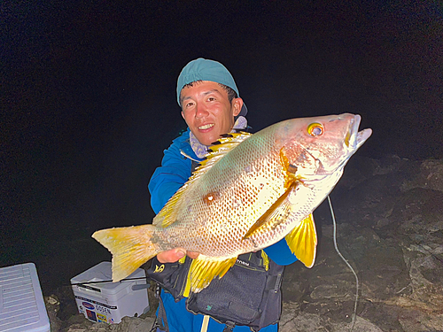 シブダイの釣果