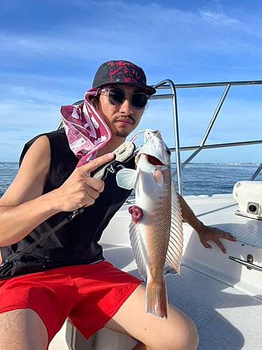 シロアマダイの釣果