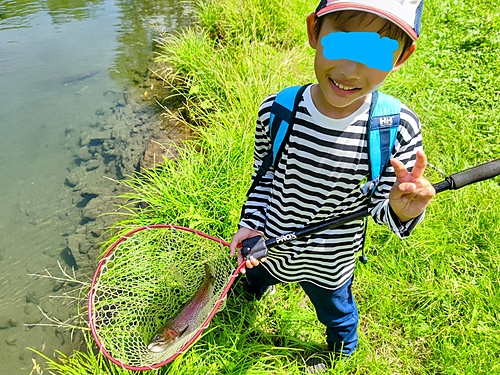 ニジマスの釣果