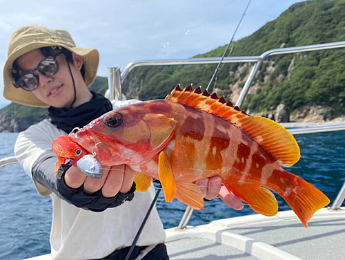 アカハタの釣果