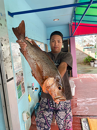 ゴマフエダイの釣果