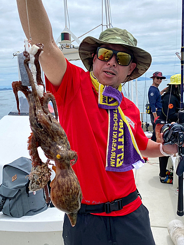 タコの釣果