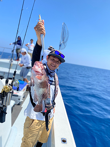 タヌキメバルの釣果