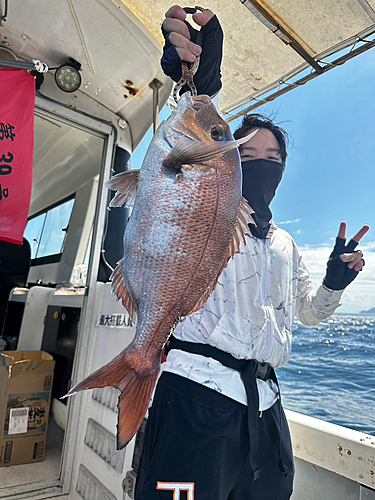 ハマチの釣果