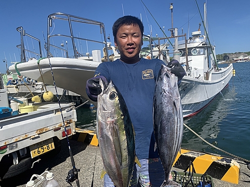 キハダマグロの釣果