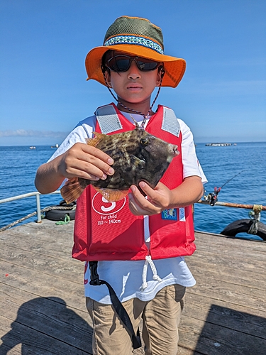 カワハギの釣果