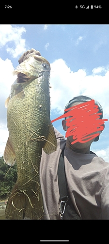 ブラックバスの釣果