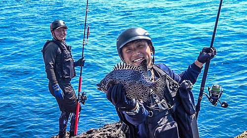 イシガキダイの釣果