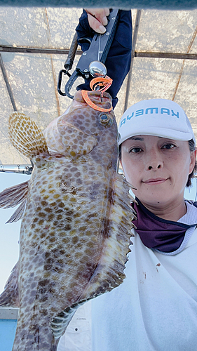 オオモンハタの釣果