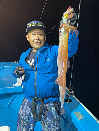 ケンサキイカの釣果