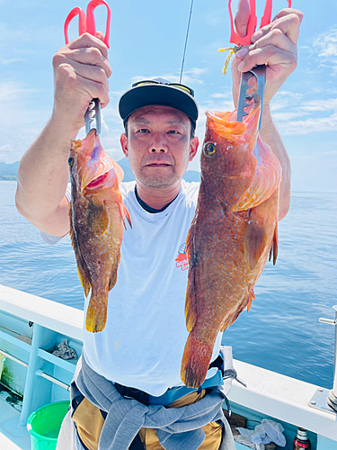 アコウの釣果