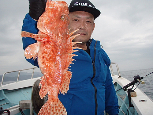 オニカサゴの釣果