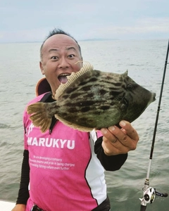 カワハギの釣果