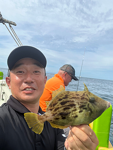 カワハギの釣果