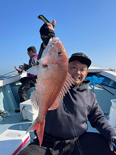 マダイの釣果