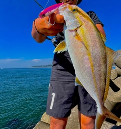 ショゴの釣果